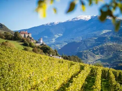 Törggelen Südtirol ©IDM_Südtirol_Alex Filz Törggelen Südtirol ©IDM_Südtirol_Alex Filz