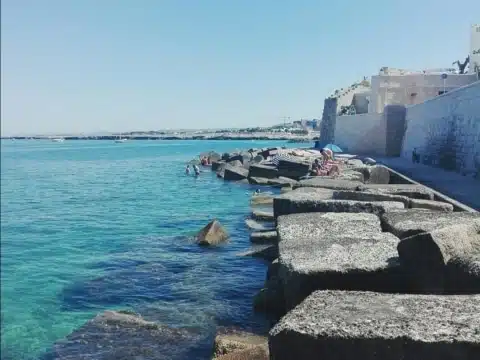 Bari Bari