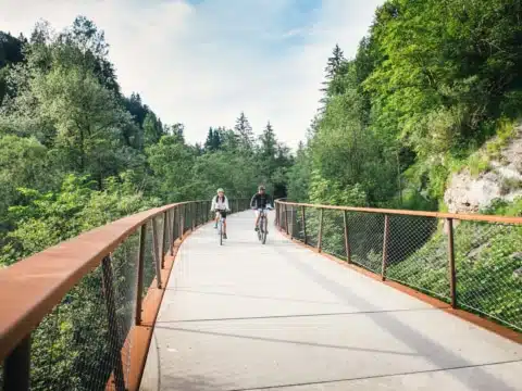Radweg Bregenzerwald (c) Benjamin Schlachter - Bregenzerwald Tourismus Radweg Bregenzerwald (c) Benjamin Schlachter - Bregenzerwald Tourismus