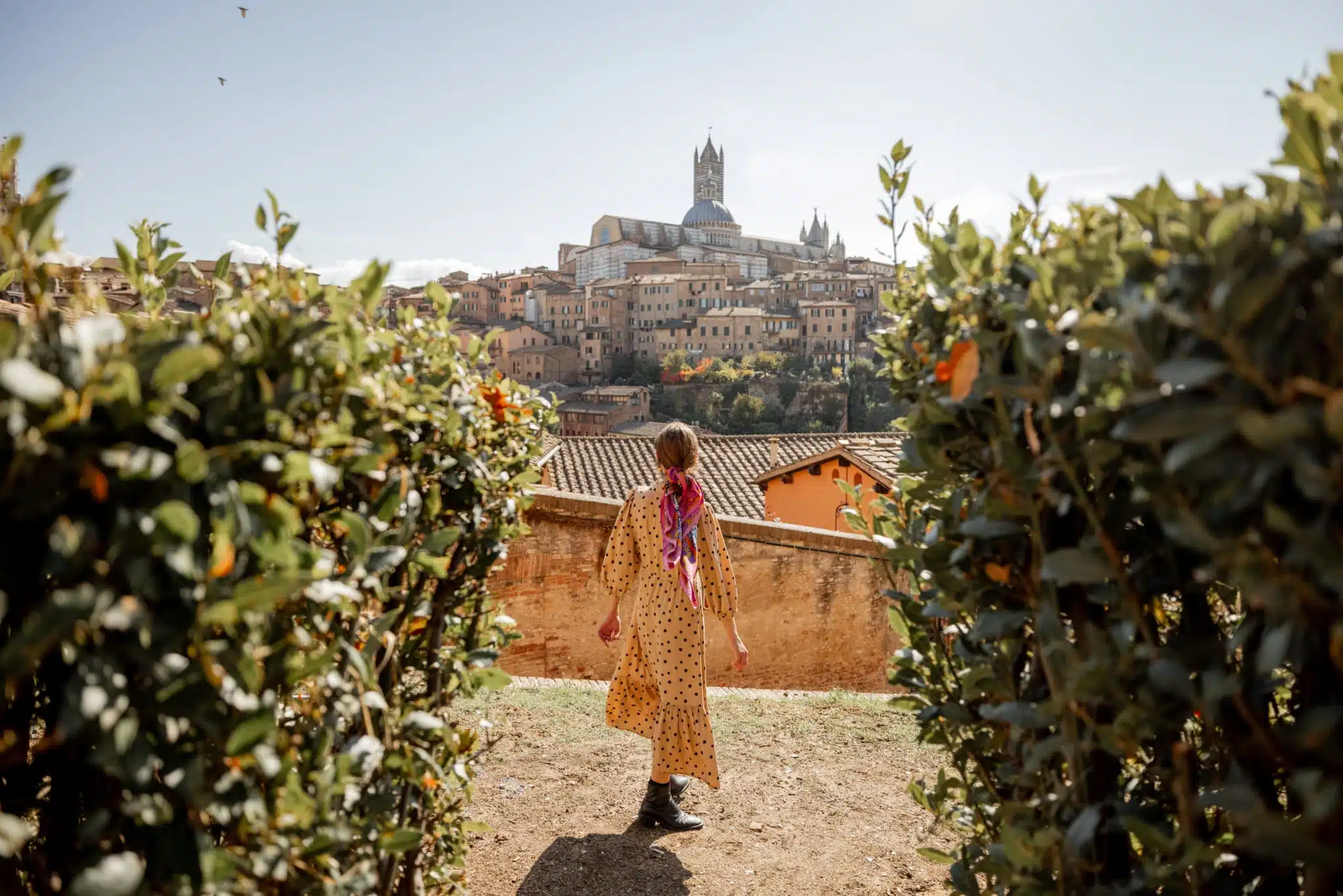 Siena Siena