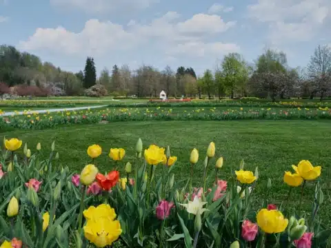 Arboretum ©IfeelSlovenia_Nina Kurnik Arboretum ©IfeelSlovenia_Nina Kurnik